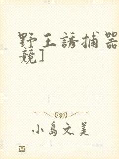 野王诱捕器[电竞]封面