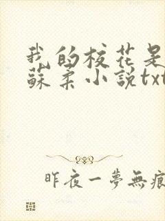 我的校花是福姬苏柔小说txt