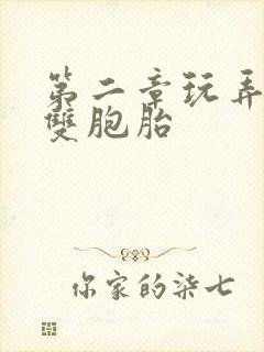 第二章玩弄少妇双胞胎封面