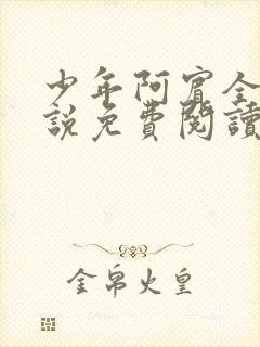 少年阿宾全文小说免费阅读笔趣阁