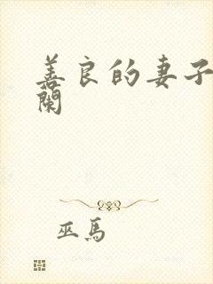 善良的妻子王晓兰封面