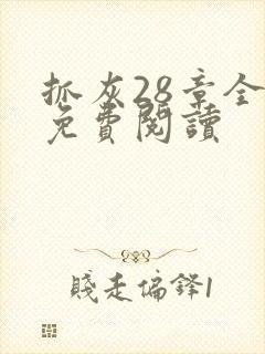 抓灰28章全部免费阅读封面