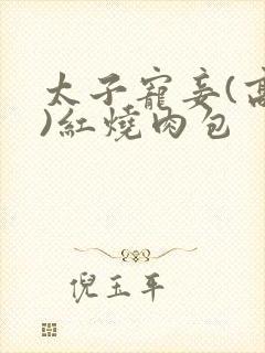 太子宠妾(高肉)红烧肉包