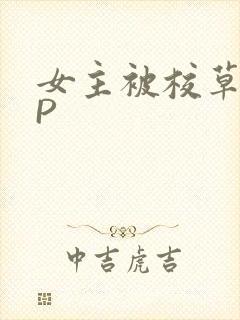 女主被校草们NP