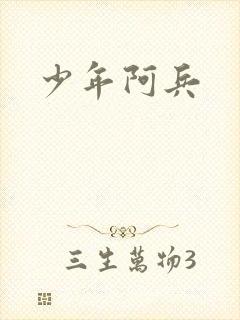 少年阿兵