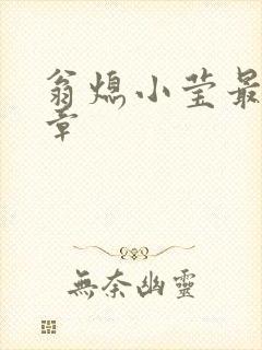 翁熄小莹最新节章