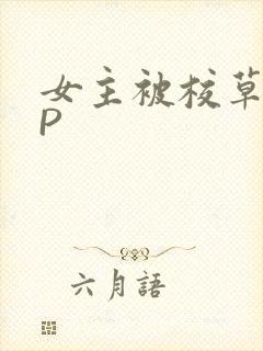 女主被校草们NP