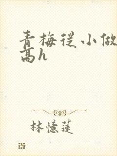 青梅从小做到大高h封面