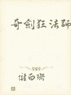 奇剑狂法师封面