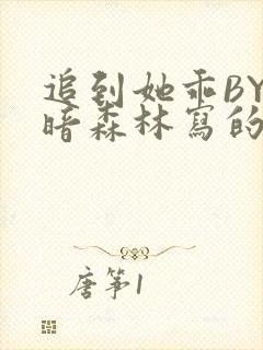 追到她乖BY黑暗森林写的小说封面