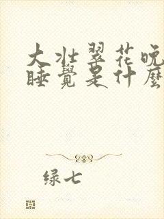 大壮翠花晚上不睡觉是什么电视剧