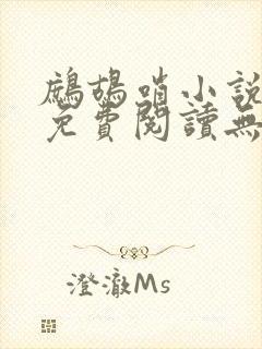 鹧鸪哨小说网站免费阅读无弹窗