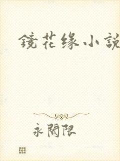 镜花缘小说