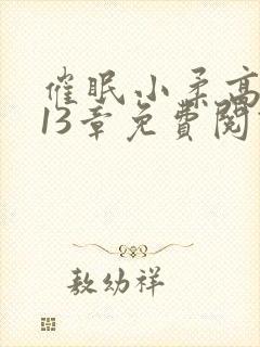 催眠小柔高达第13章免费阅读封面