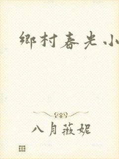 乡村春光小说封面