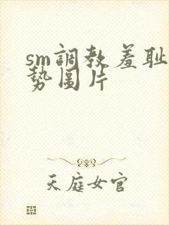 sm调教羞耻姿势图片封面