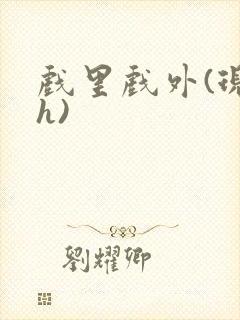 戏里戏外(现场h)