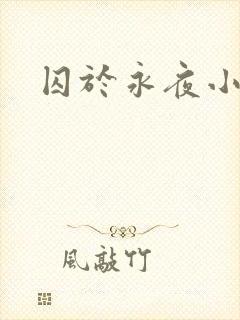 囚于永夜小说