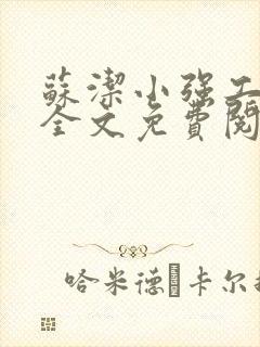 苏洁小强工地情全文免费阅读