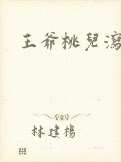 王爷桃儿泻了封面