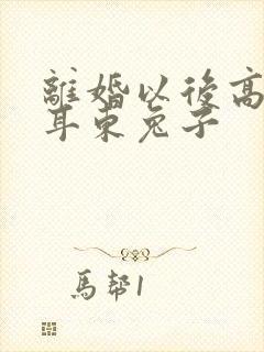 离婚以后高干 耳东兔子