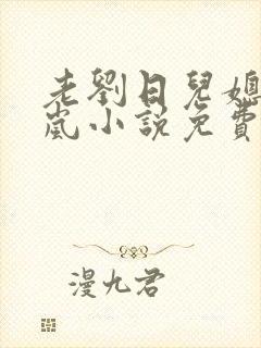 老刘日儿媳妇张岚小说免费阅读