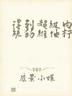 得到超级肉禽系统的维他柠檬茶