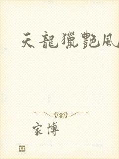 天龙猎艳风流