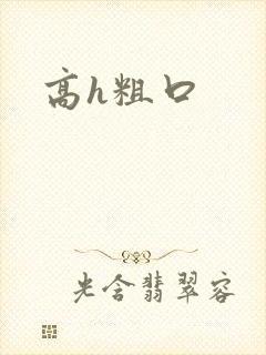 高h粗口