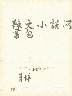 辣文小说网第二书包封面