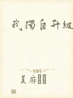 我独自升级封面