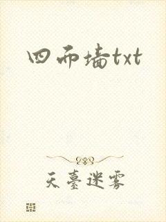 四面墙txt封面
