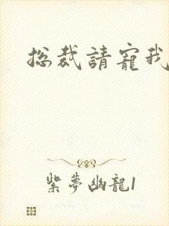 总裁请宠我封面