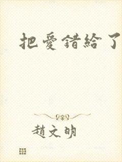 把爱错给了你封面
