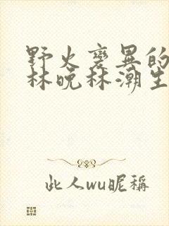 野火变异的父爱林晚林潮生