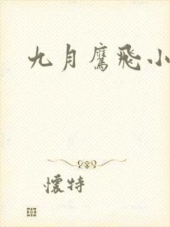 九月鹰飞小说封面
