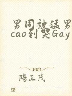 男同被猛男房东cao到哭Gay