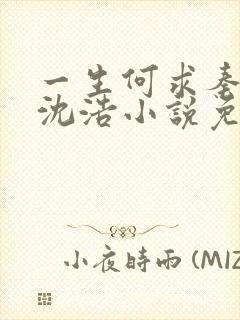 一生何求秦菲雪沈浩小说免费阅读全文