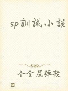 sp训诫小说