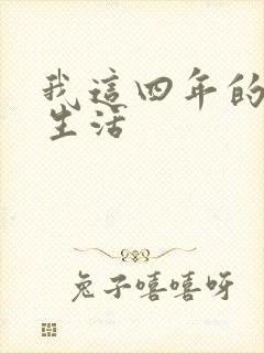 我这四年的奴隶生活封面