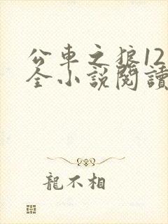 公车之狼12集全小说阅读