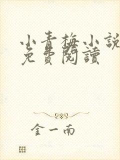 小青梅小说全文免费阅读