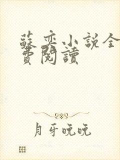 苏奕小说全文免费阅读