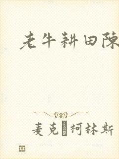 老牛耕田陈雪
