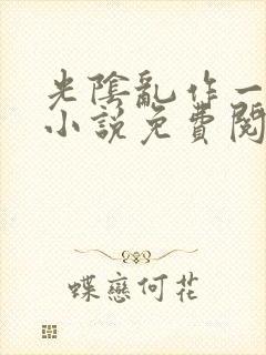 光阴乱作一团的小说免费阅读