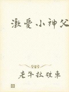 激爱小神父