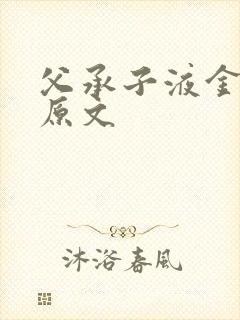 父承子液金银花原文封面