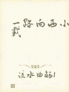 一路向西小说下载封面