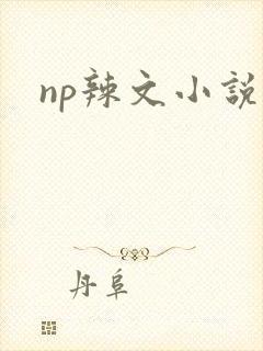 np辣文小说