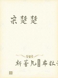 宋楚楚